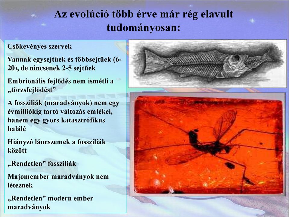 (maradványok) nem egy évmilliókig tartó változás emlékei, hanem egy gyors katasztrófikus halálé Hiányzó