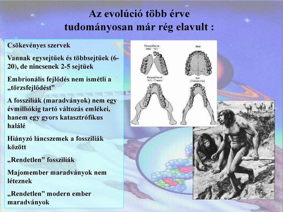 egy gyors katasztrófikus halálé Hiányzó láncszemek a fossziliák között Rendetlen fossziliák Majomember