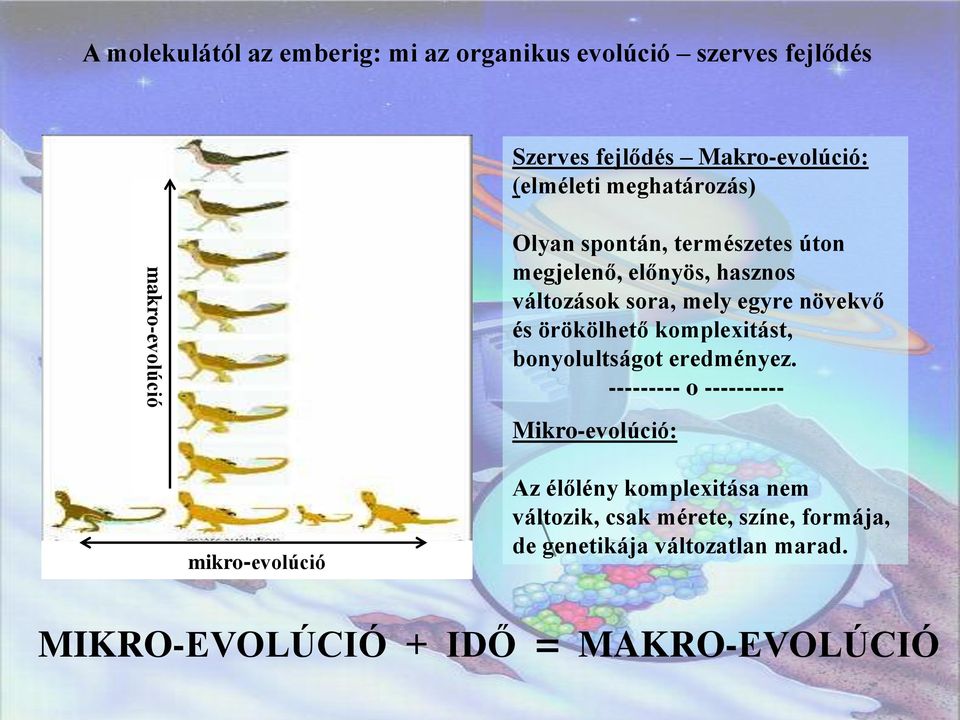 növekvő és örökölhető komplexitást, bonyolultságot eredményez.