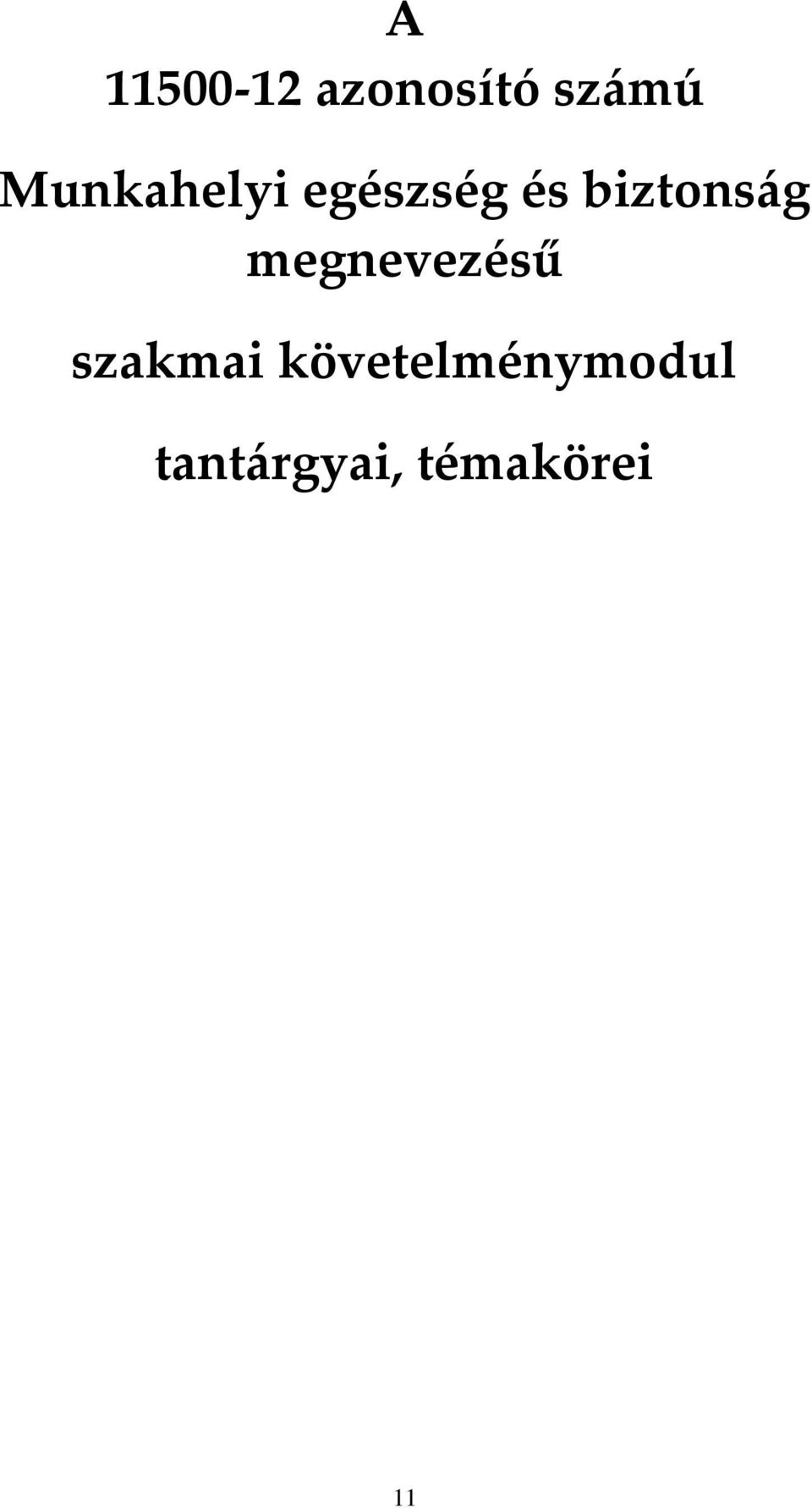 biztonság megnevezésű szakmai