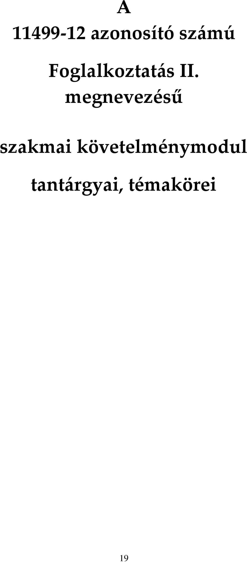 megnevezésű szakmai