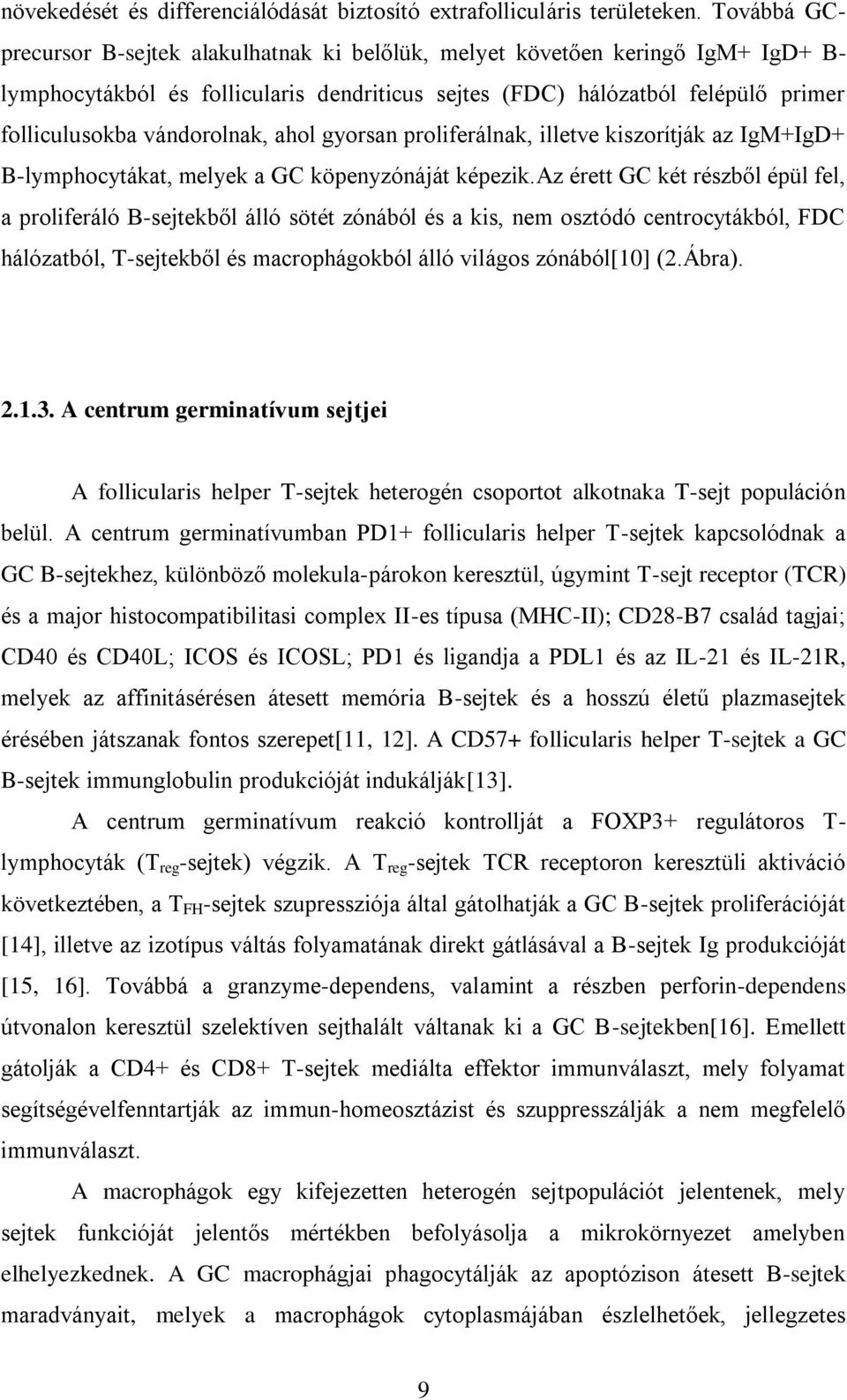 vándorolnak, ahol gyorsan proliferálnak, illetve kiszorítják az IgM+IgD+ B-lymphocytákat, melyek a GC köpenyzónáját képezik.