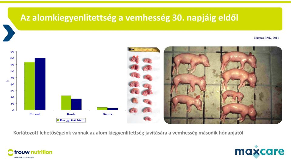 Korlátozott lehetőségeink vannak az alom