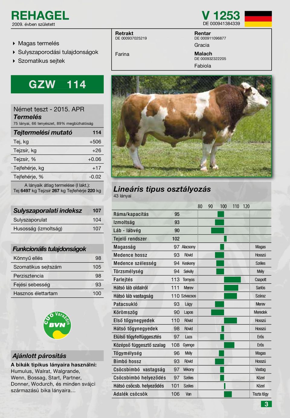 lányai, 66 tenyészet, 89% megbízhatóság Tejtermelési mutató 114 Tej, kg +506 Tejzsír, kg +26 Tejzsír, % +0.06 Tejfehérje, kg +17 Tejfehérje, % -0.02 A lányaik átlag termelése (I lakt.