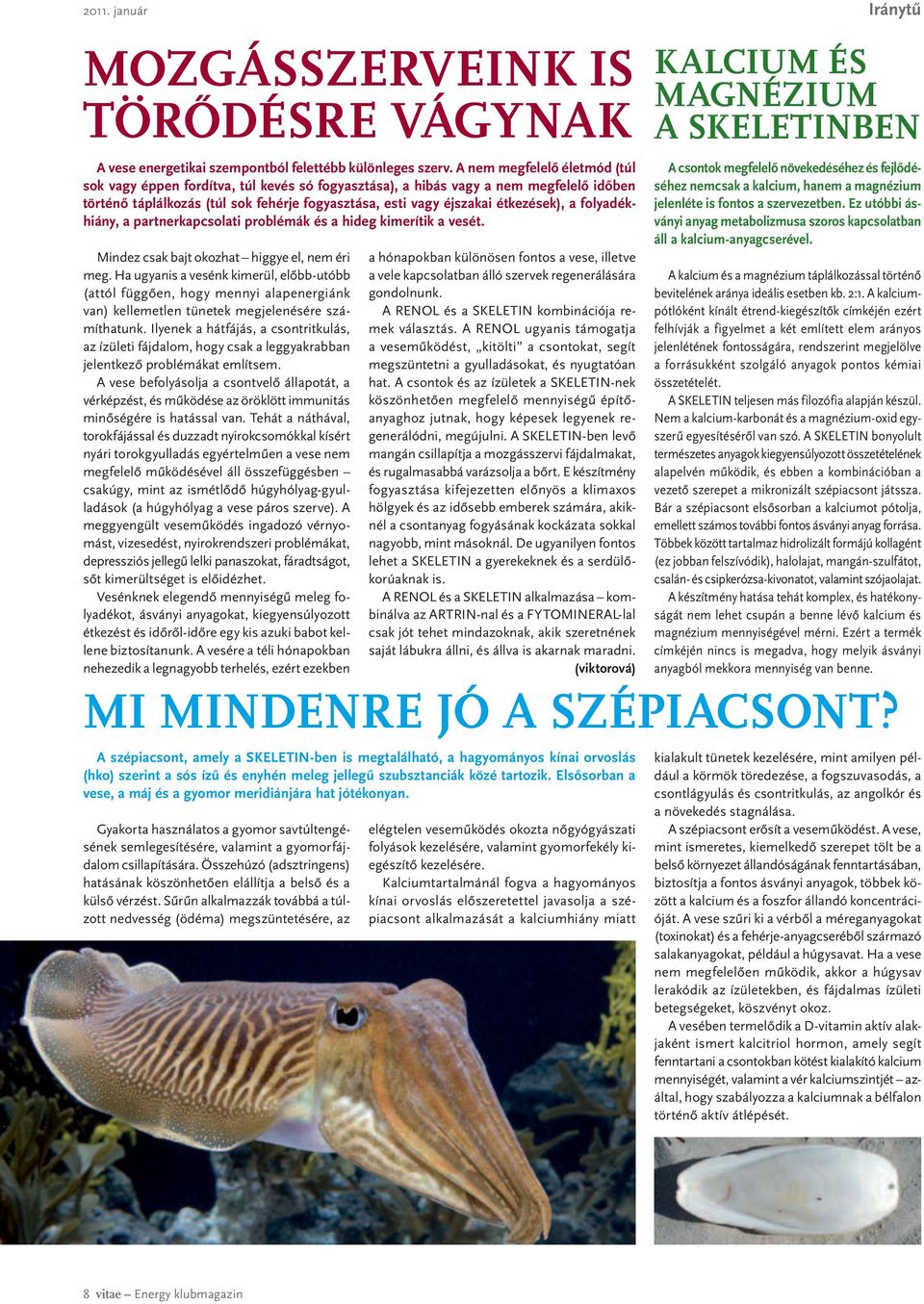 folyadékhiány, a partnerkapcsolati problémák és a hideg kimerítik a vesét. Mindez csak bajt okozhat higgye el, nem éri meg.