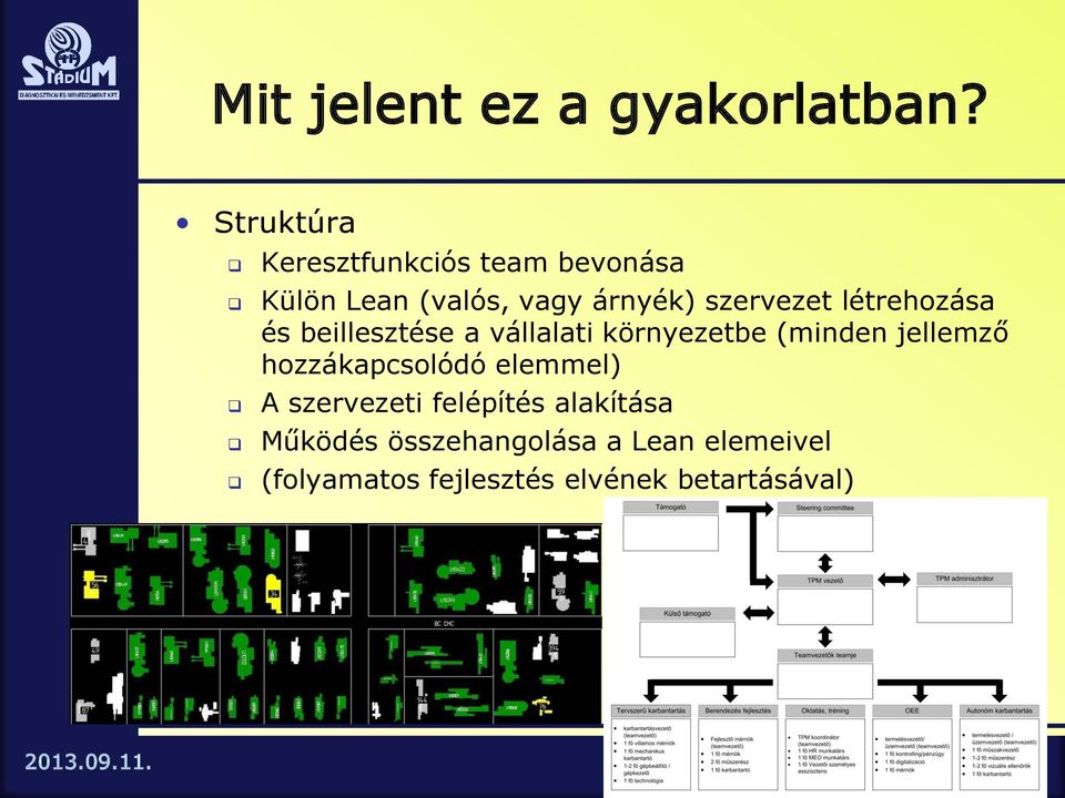 szervezet létrehozása és beillesztése a vállalati környezetbe (minden jellemző