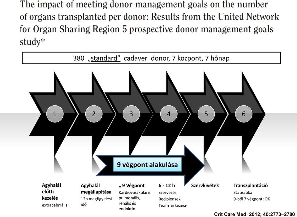 Kardiovaszkuláris pulmonális, renális és endokrin 6-12 h Szervezés Recipiensek Team