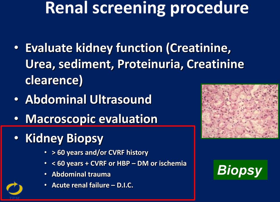 Macroscopic evaluation Kidney Biopsy > 60 years and/or CVRF history < 60