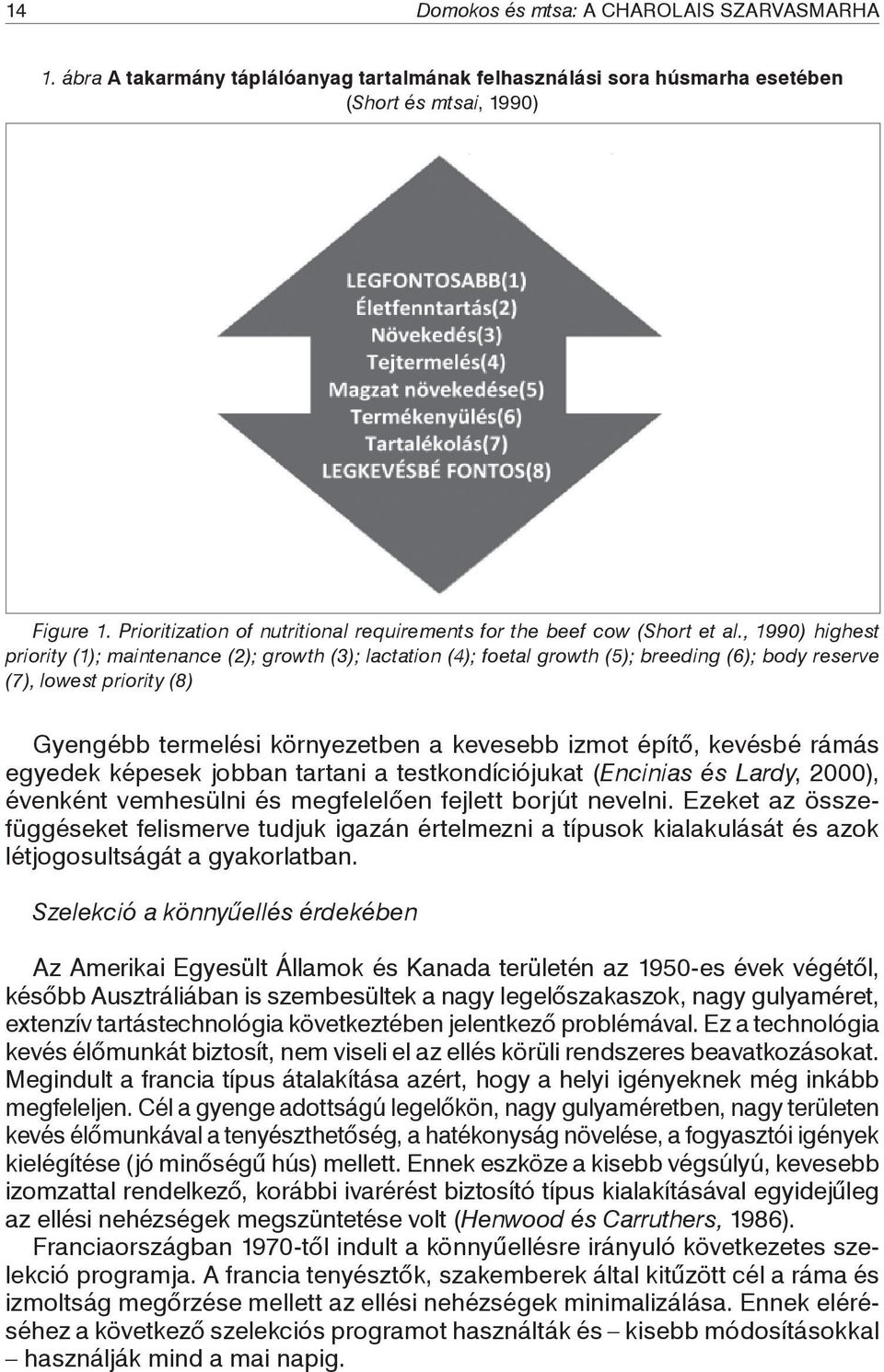 , 1990) highest priority (1); maintenance (2); growth (3); lactation (4); foetal growth (5); breeding (6); body reserve (7), lowest priority (8) Gyengébb termelési környezetben a kevesebb izmot