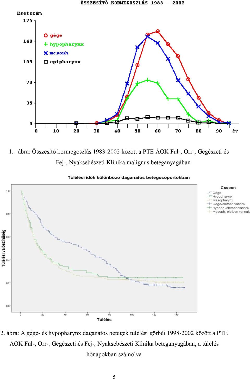 ábra: A gége- és hypopharynx daganatos betegek túlélési görbéi 1998-2002 között a