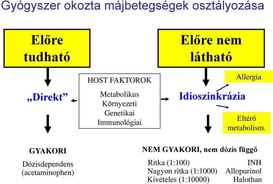 Allergia Eltérő metabolism.