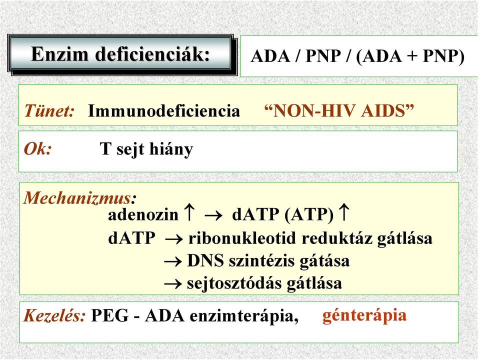 datp (ATP) datp ribonukleotid reduktáz gátlása DS szintézis