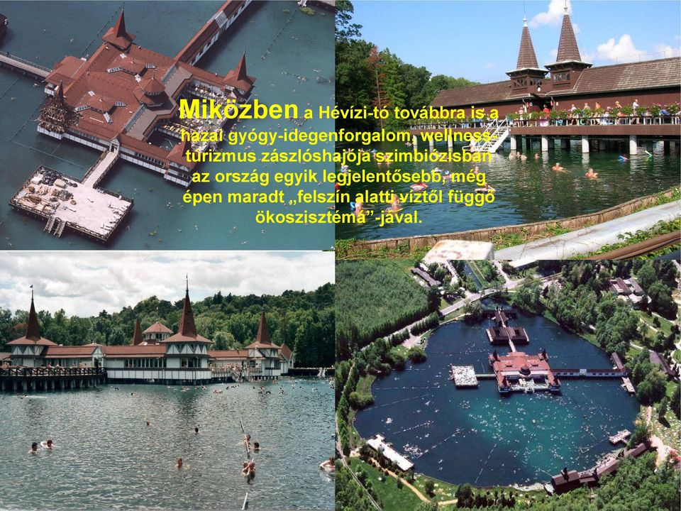 zászlóshajója szimbiózisban az ország egyik