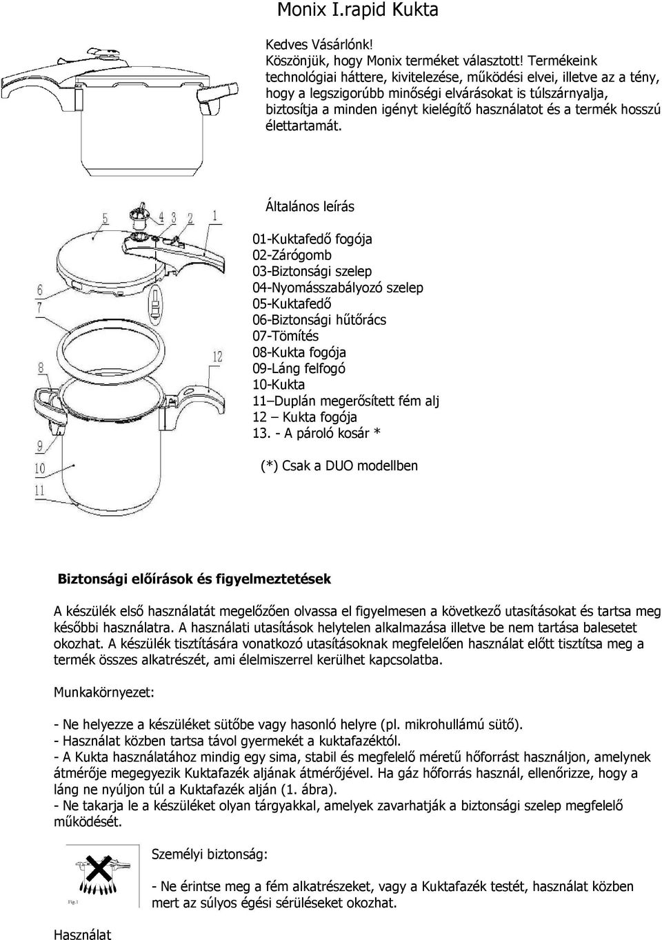 Monix I.rapid Kukta. Általános leírás - PDF Ingyenes letöltés