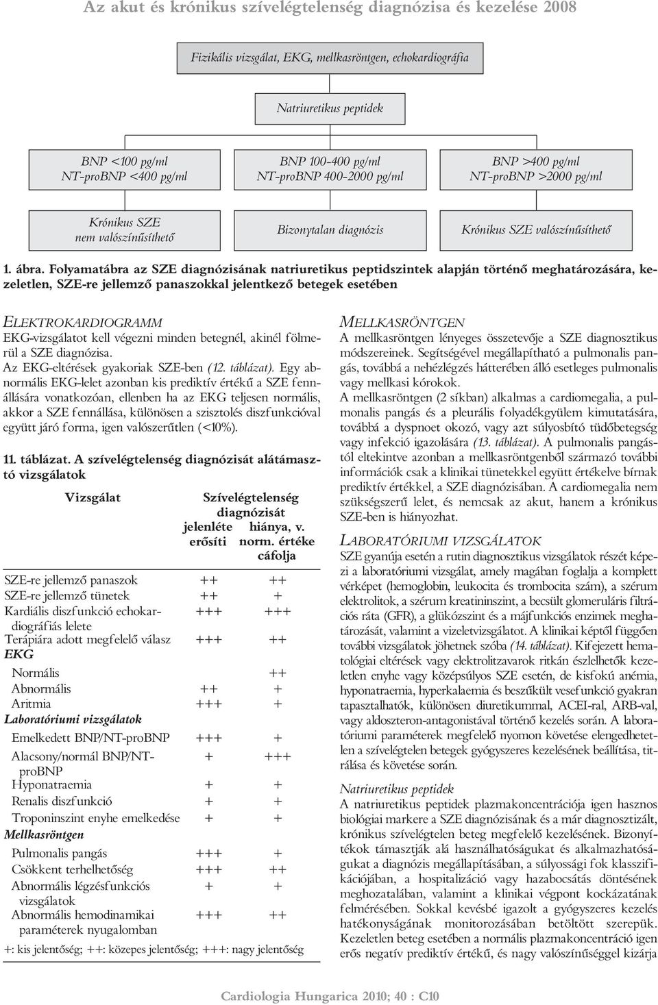 Folyamatábra az SZE diagnózisának natriuretikus peptidszintek alapján történõ meghatározására, ke - zeletlen, SZE-re jellemzõ panaszokkal jelentkezõ betegek esetében ELEKTROKARDIOGRAMM