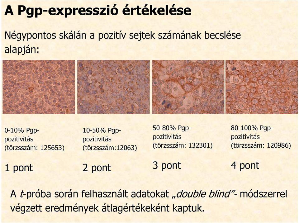 pozitivitás (törzssz rzsszám: 132301) 80-100% Pgp- pozitivitás (törzssz rzsszám: 120986) 1 pont 2 pont 3