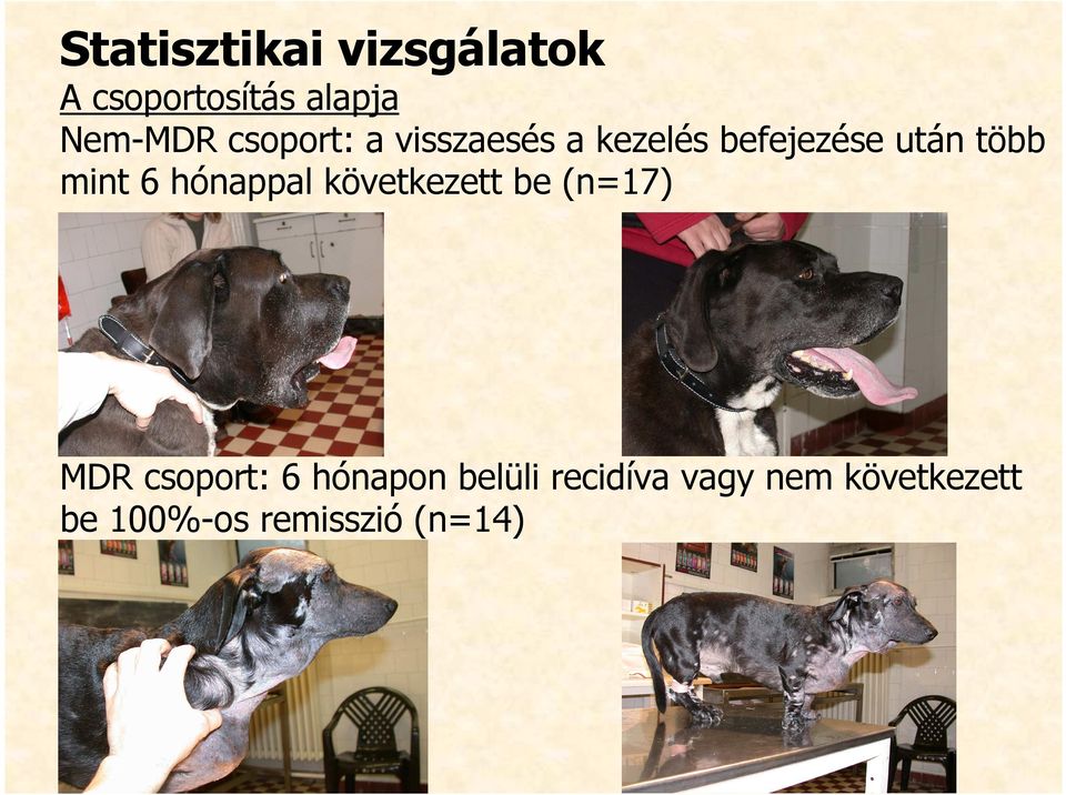 6 hónappal következett be (n=17) MDR csoport: 6 hónapon