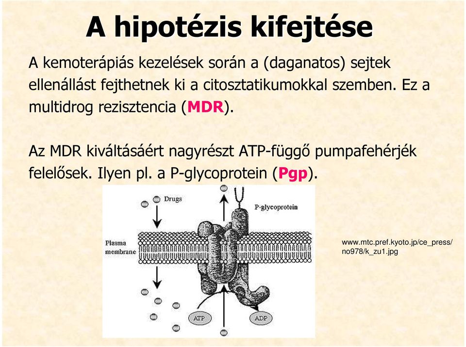 Ez a multidrog rezisztencia (MDR).