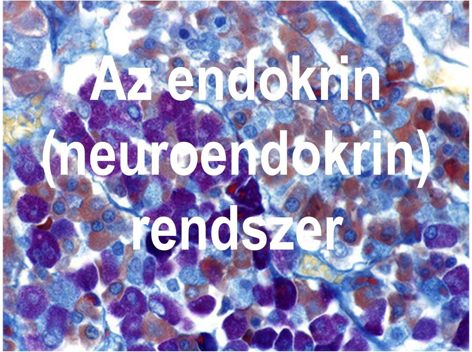 (neuro)