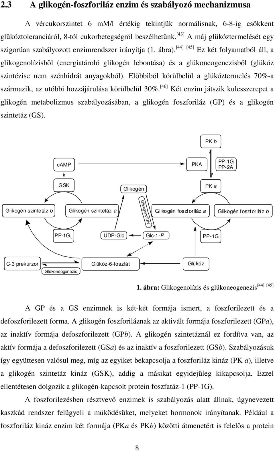 [44] [45] Ez két folyamatból áll, a glikogenolízisből (energiatároló glikogén lebontása) és a glükoneogenezisből (glükóz szintézise nem szénhidrát anyagokból).