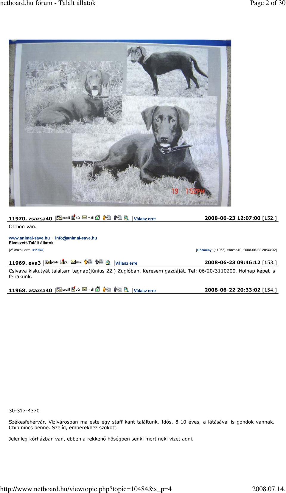 ] Csivava kiskutyát találtam tegnap(június 22.) Zuglóban. Keresem gazdáját. Tel: 06/20/3110200. Holnap képet is felrakunk. 11968.