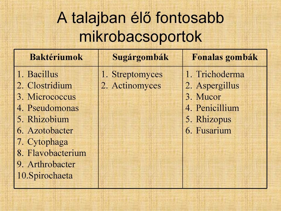Flavobacterium 9. Arthrobacter 10.Spirochaeta Sugárgombák 1. Streptomyces 2.
