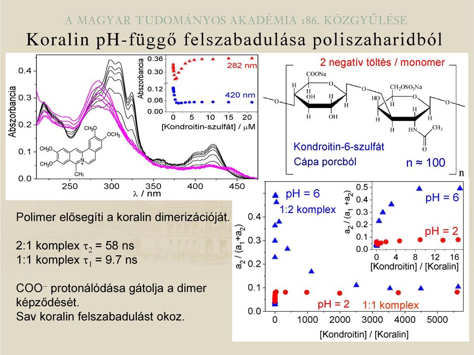 12 6 420 nm 0 0 5 10 15 20 [Kondroitin-szulfát] / M 250 300 350 400 450 / nm 0.5 0.4 0.3 0.2 Kondroitin-6-szulfát Cápa porcból 0.5 ph = 6 0.4 ph = 6 1:2 komplex 0.3 0.2 0.