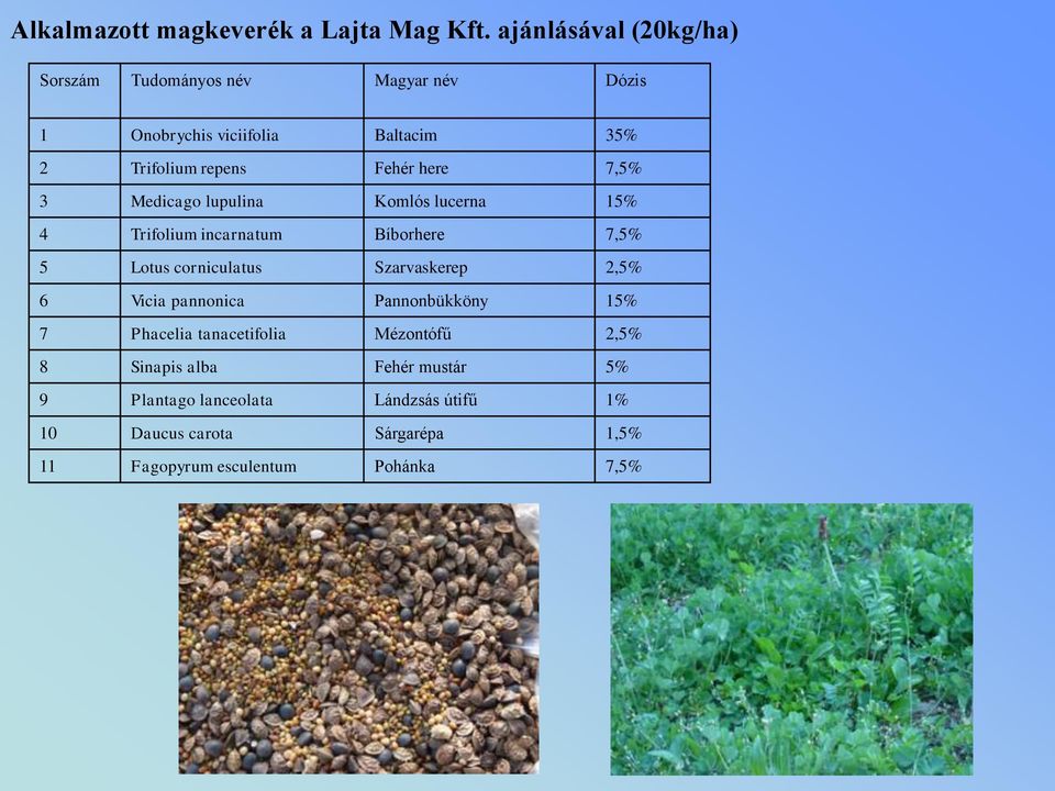 here 7,5% 3 Medicago lupulina Komlós lucerna 15% 4 Trifolium incarnatum Bíborhere 7,5% 5 Lotus corniculatus Szarvaskerep 2,5%