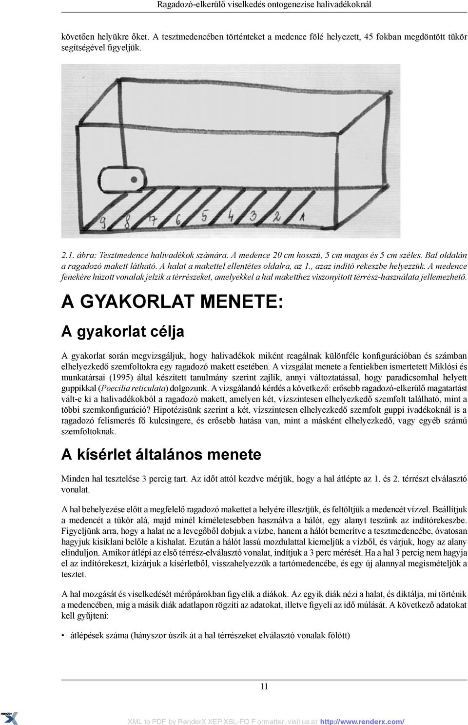 , azaz indító rekeszbe helyezzük. A medence fenekére húzott vonalak jelzik a térrészeket, amelyekkel a hal maketthez viszonyított térrész-használata jellemezhető.