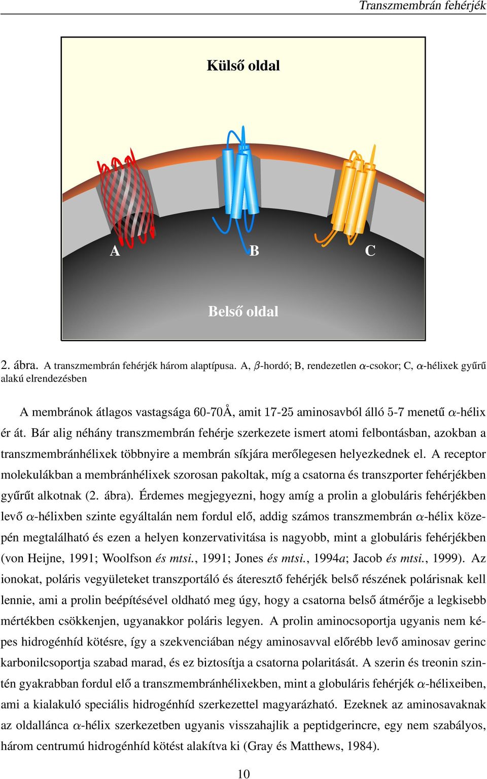 Bár alig néhány transzmembrán fehérje szerkezete ismert atomi felbontásban, azokban a transzmembránhélixek többnyire a membrán síkjára merőlegesen helyezkednek el.