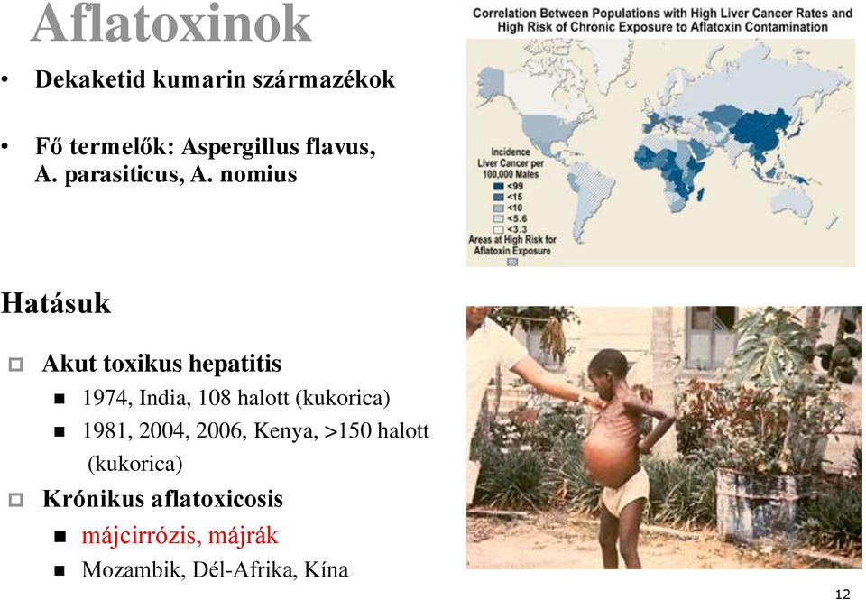 nomius Hatásuk Akut toxikus hepatitis 1974, India, 108 halott