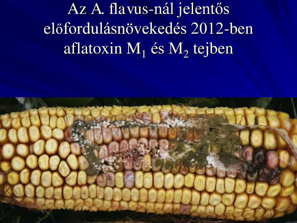 előfordulásnövekedés