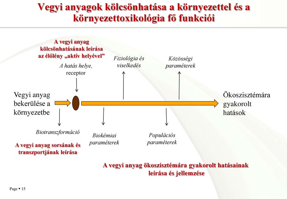 a környezetbe Ökoszisztémára gyakorolt hatások Biotranszformáció A vegyi anyag sorsának és transzportjának leírása