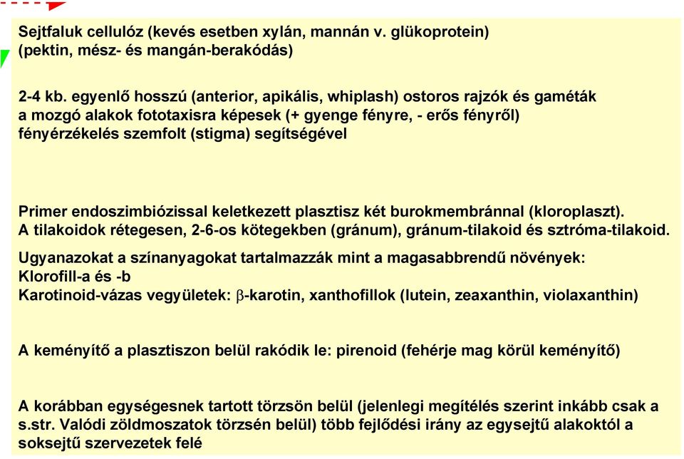 endoszimbiózissal keletkezett plasztisz két burokmembránnal (kloroplaszt). A tilakoidok rétegesen, 2-6-os kötegekben (gránum), gránum-tilakoid és sztróma-tilakoid.