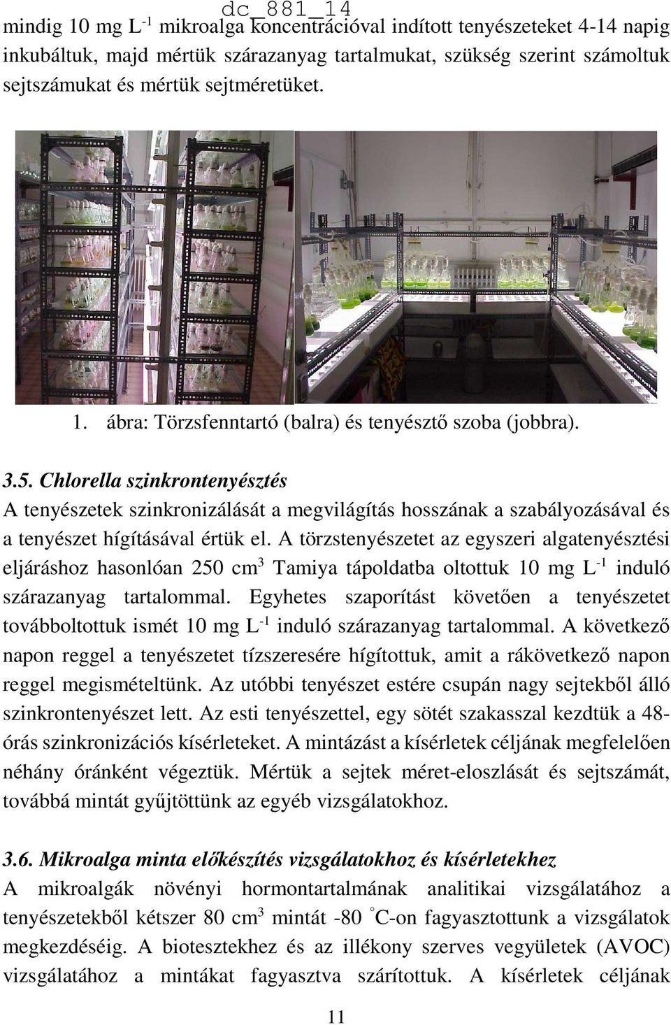 A törzstenyészetet az egyszeri algatenyésztési eljáráshoz hasonlóan 250 cm 3 Tamiya tápoldatba oltottuk 10 mg L -1 induló szárazanyag tartalommal.