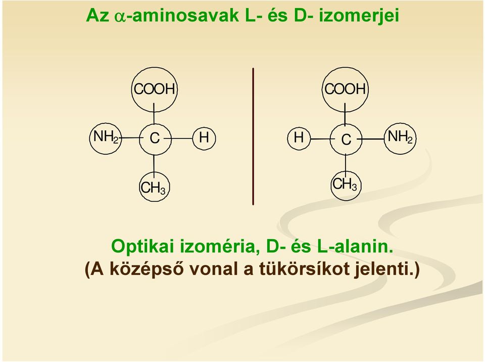 C H 3 Optikai izoméria, D- és L-alanin.