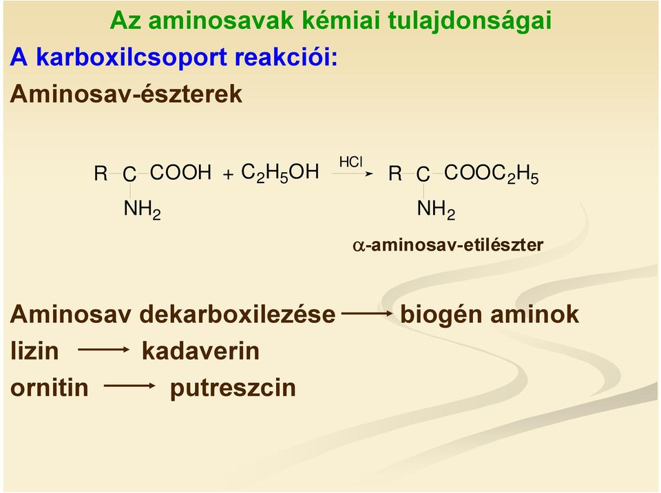 R C C O O C 2 H 5 N H 2 N H 2 α-aminosav-etilészter