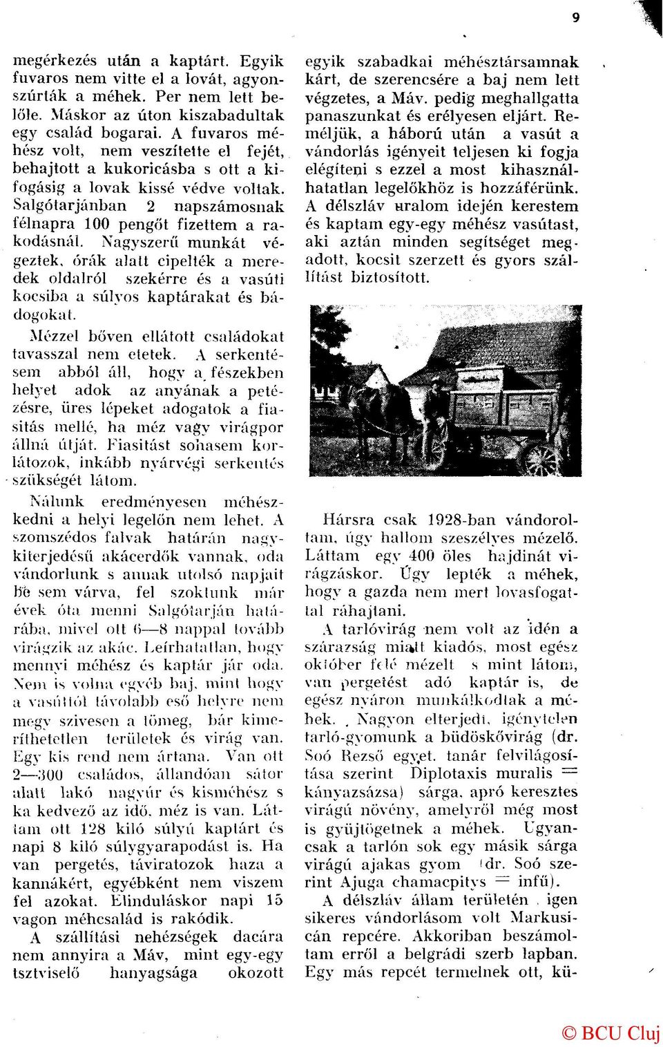 Nagyszerű munkát végeztek, órák alatt cipelték a meredek oldalról szekérre és a vasúti kocsiba a súlyos kaptárakat és bádogokat. Mézzel bőven ellátott családokat tavasszal nem etetek.