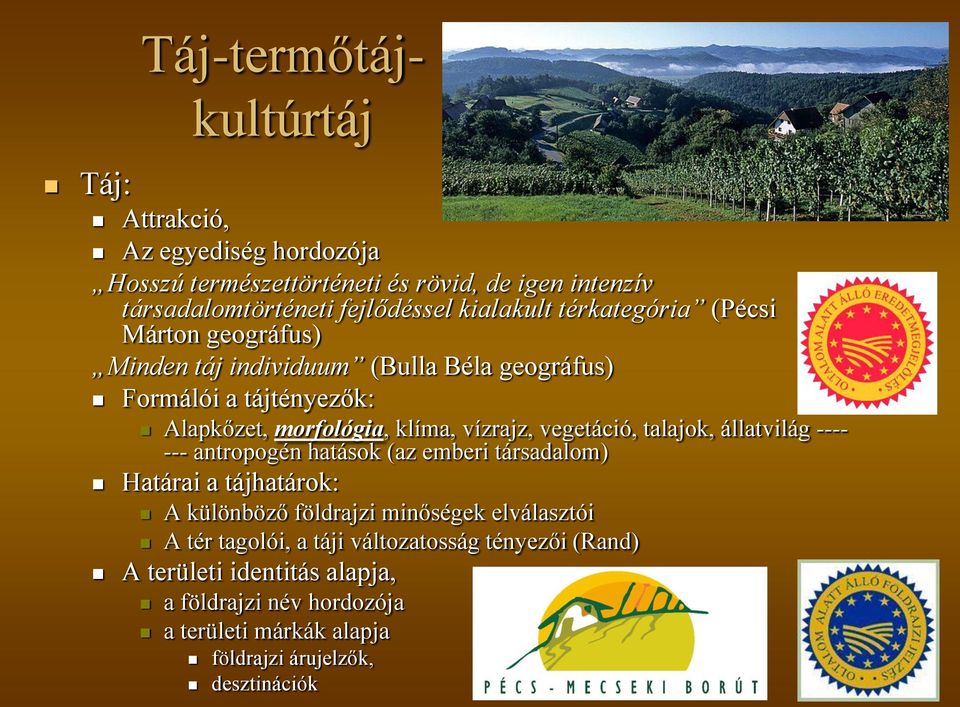 vízrajz, vegetáció, talajok, állatvilág ---- --- antropogén hatások (az emberi társadalom) Határai a tájhatárok: A különböző földrajzi minőségek
