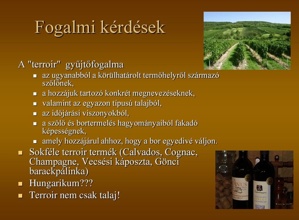 szőlő és bortermelés hagyományaiból fakadó képességnek, amely hozzájárul ahhoz, hogy a bor egyedivé váljon.