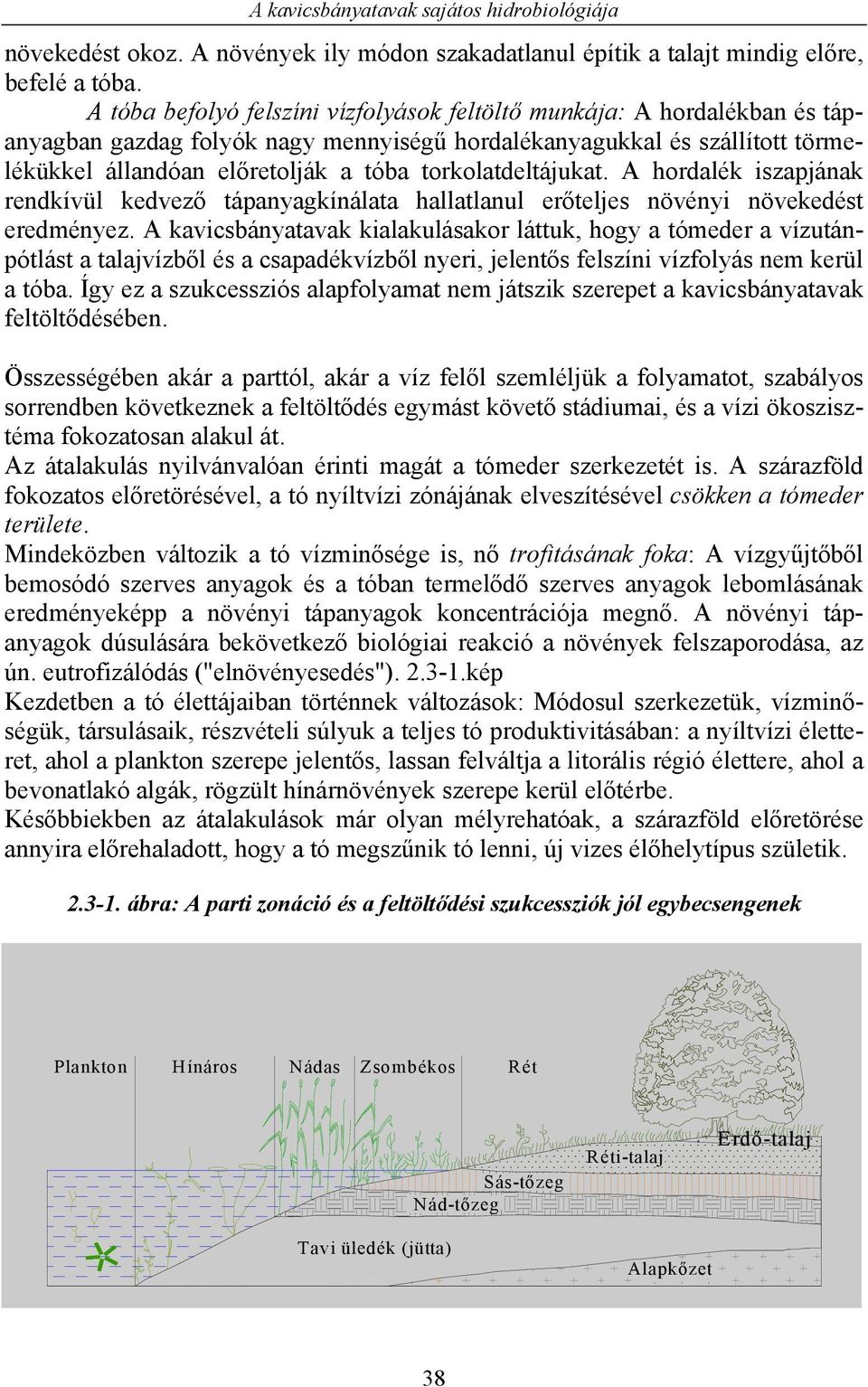 torkolatdeltájukat. A hordalék iszapjának rendkívül kedvező tápanyagkínálata hallatlanul erőteljes növényi növekedést eredményez.