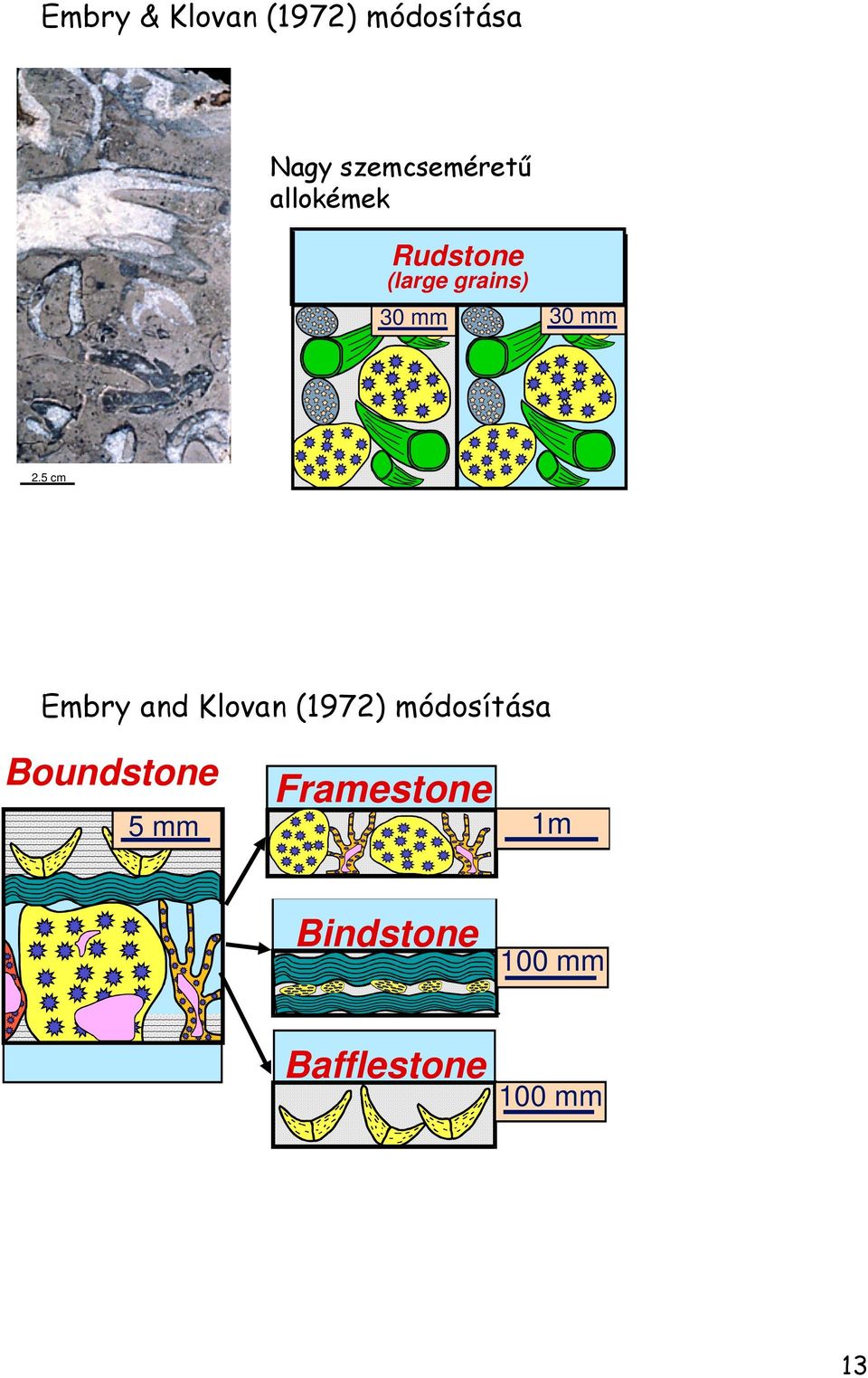 5 cm Embry and Klovan (1972) módosítása Boundstone