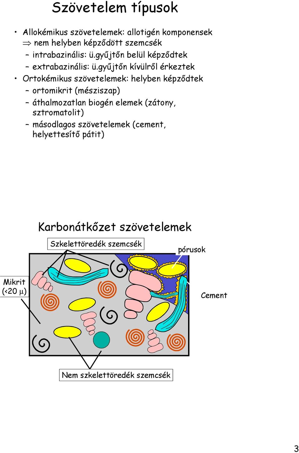 győjtın kívülrıl érkeztek Ortokémikus szövetelemek: helyben képzıdtek ortomikrit (mésziszap) áthalmozatlan biogén