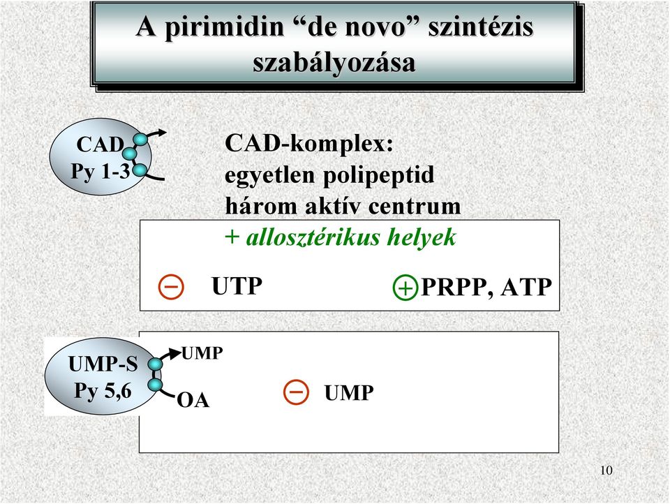 egyetlen polipeptid három aktív centrum +