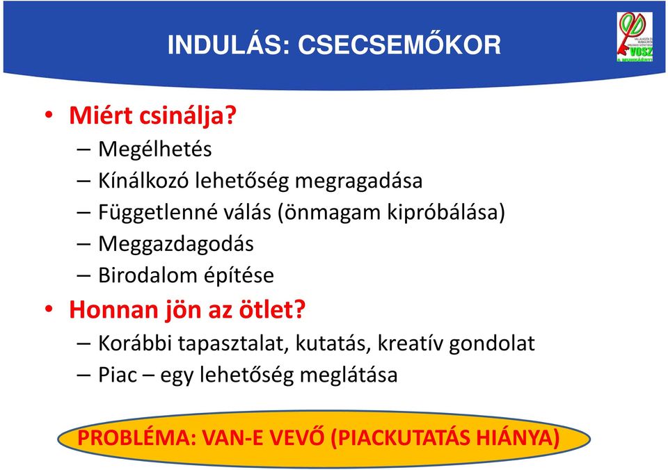 kipróbálása) Meggazdagodás Birodalom építése Honnan jön az ötlet?