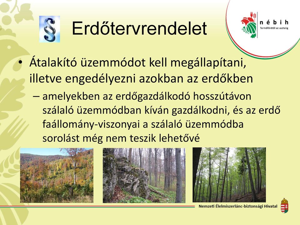 hosszútávon szálaló üzemmódban kíván gazdálkodni, és az erdő
