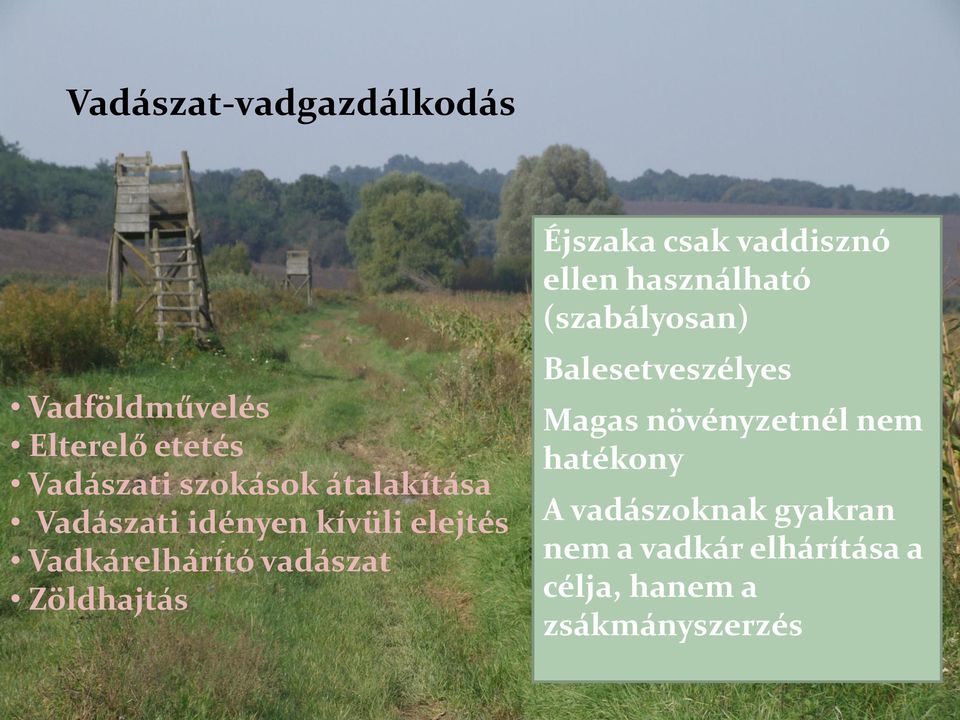 Éjszaka csak vaddisznó ellen használható (szabályosan) Balesetveszélyes Magas