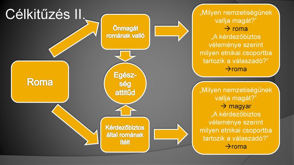 tartozik a válaszadó? roma Milyen nemzetiségűnek vallja magát?