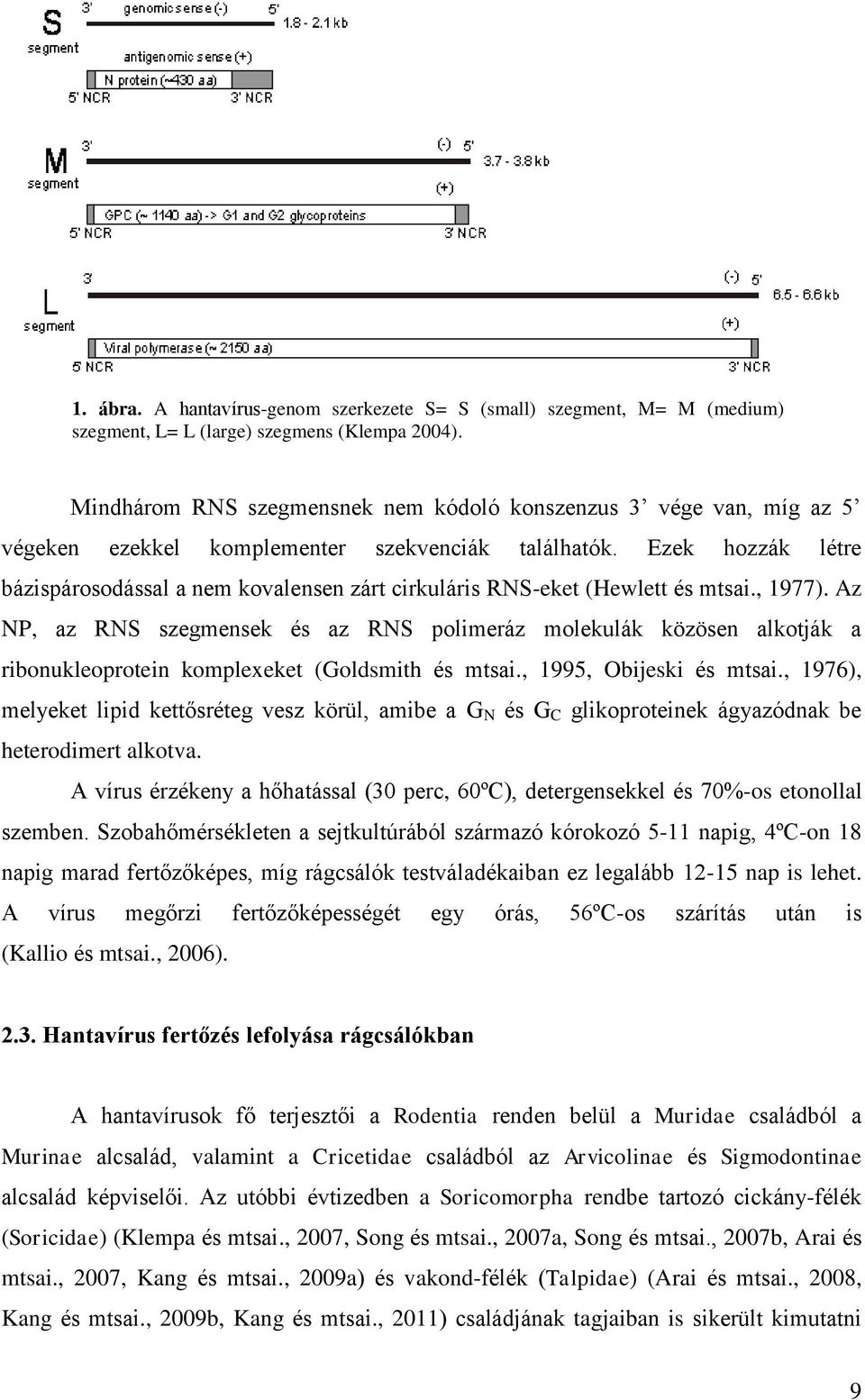 Ezek hozzák létre bázispárosodással a nem kovalensen zárt cirkuláris RNS-eket (Hewlett és mtsai., 1977).