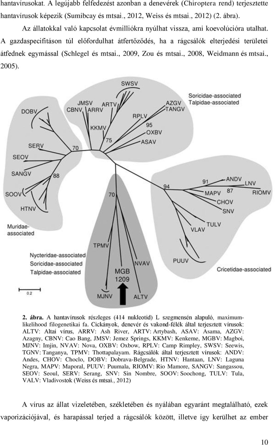 A gazdaspecifitáson túl előfordulhat átfertőződés, ha a rágcsálók elterjedési területei átfednek egymással (Schlegel és mtsai., 2009, Zou és mtsai., 2008, Weidmann és mtsai., 2005). 2. ábra.